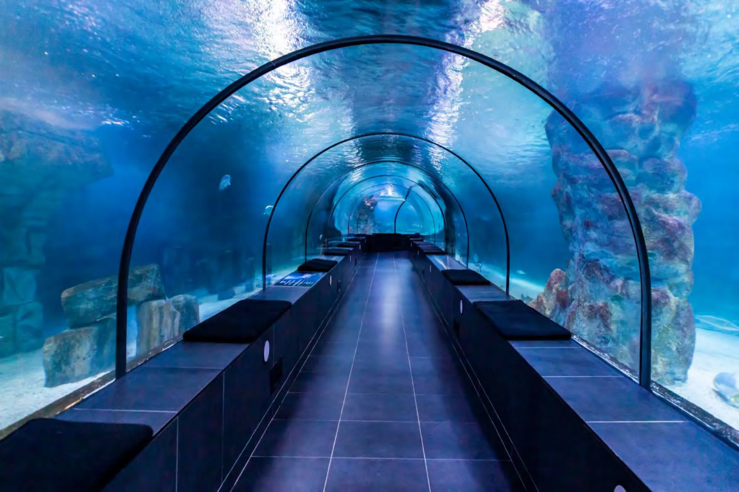 National Aquarium